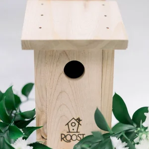 Bluebird Box 1
