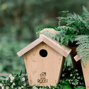 Tree Mount Wren House
